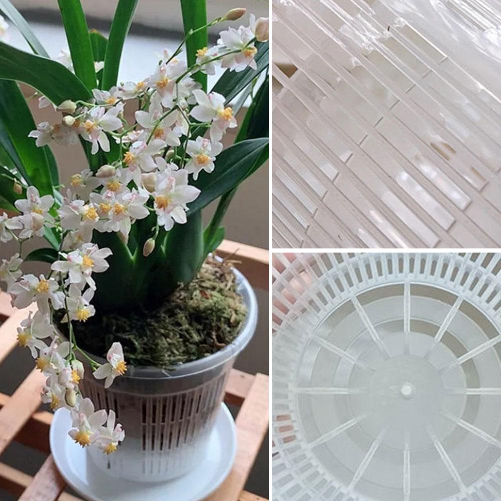 Aloe Vera Pot - Vaso da fiori trasparente per il