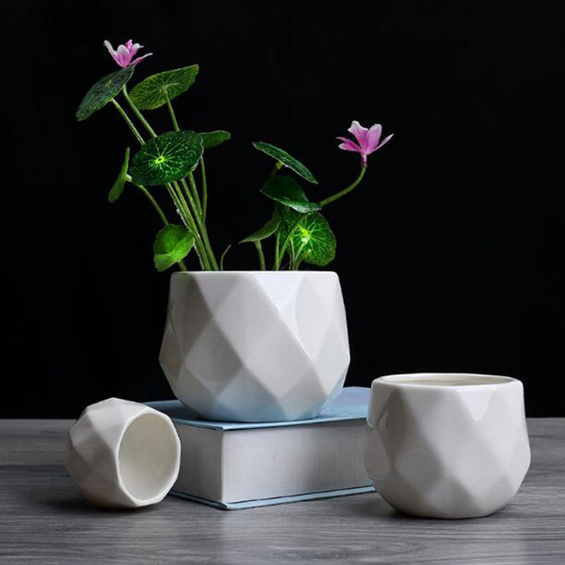 Aloe Vera Pot - Vaso da fiori in poliedro di