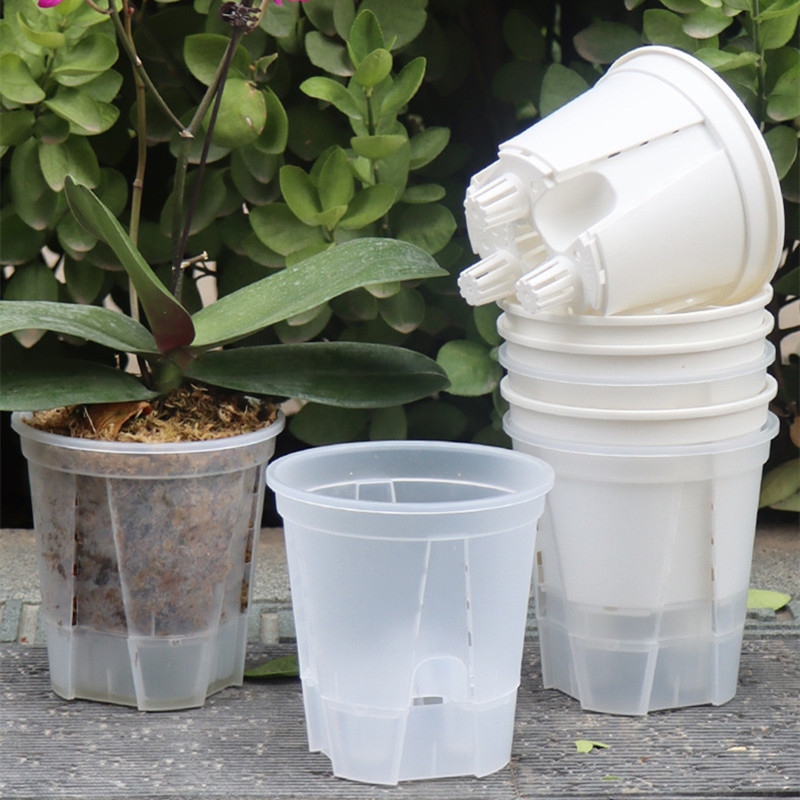 Aloe Vera Pot - Vaso per orchidee trasparente da 5