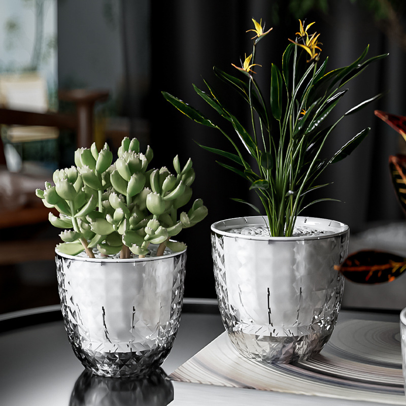 Fioriera pigra in plastica tra - Aloe Vera Pot recensione e prezzo