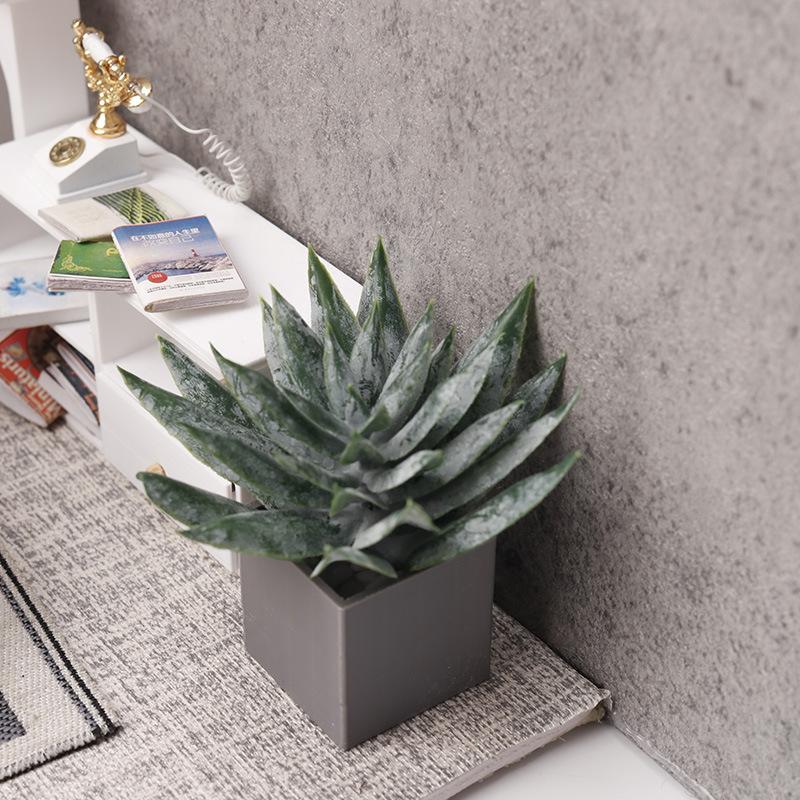 Pianta in vaso di aloe vera in - Aloe Vera Pot recensione e prezzo