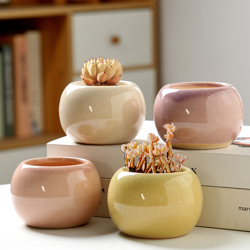 Vaso da fiori con ghiaccio inc - Aloe Vera Pot recensione e prezzo