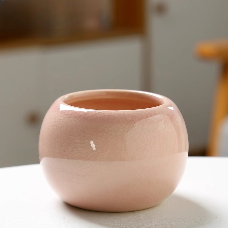 Vaso da fiori con ghiaccio inc - Aloe Vera Pot recensione e prezzo