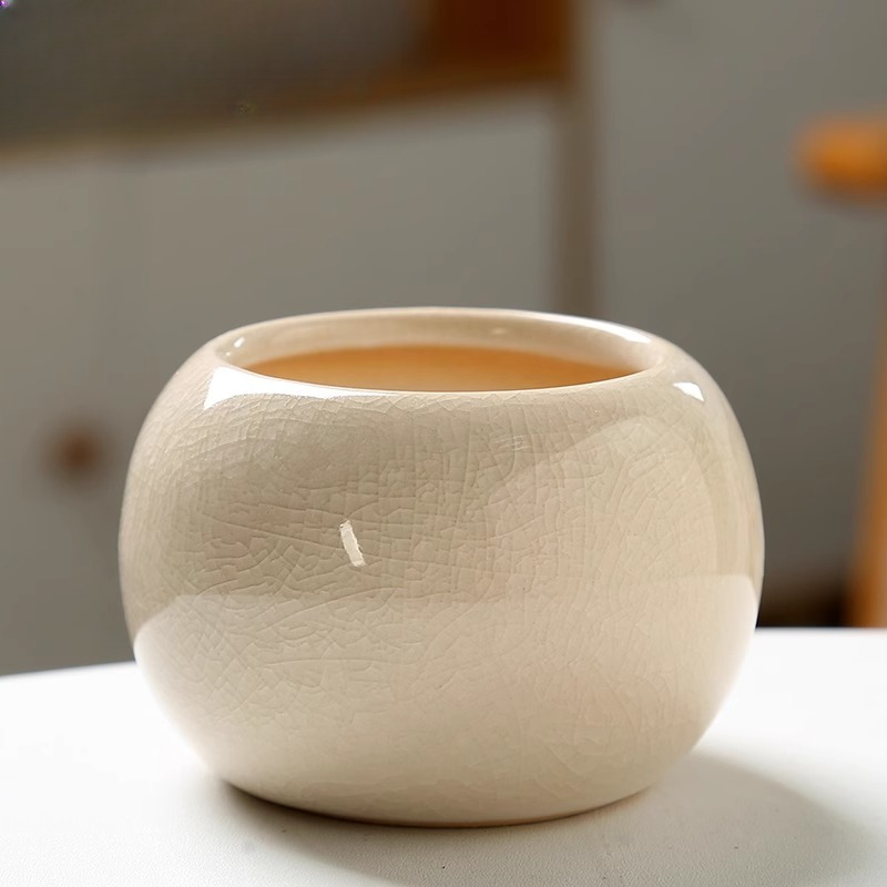Vaso da fiori con ghiaccio inc - Aloe Vera Pot recensione e prezzo