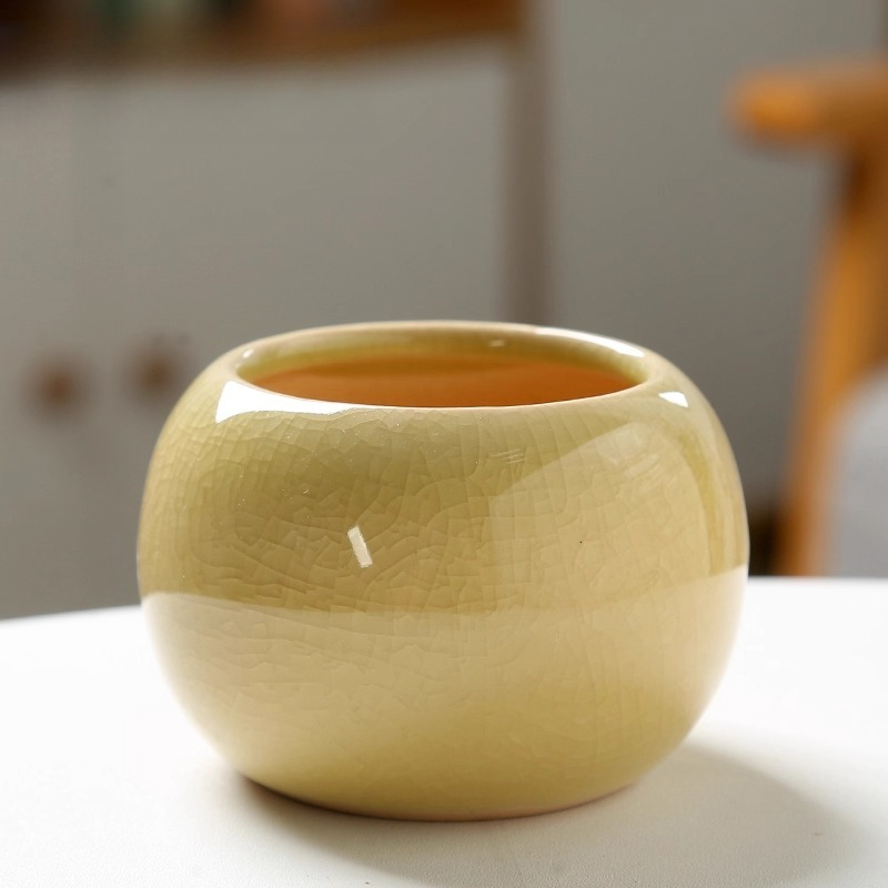 Vaso da fiori con ghiaccio inc - Aloe Vera Pot recensione e prezzo