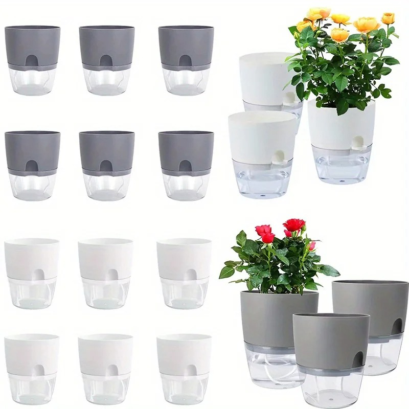 10/5 pz Auto Irrigazione Vaso  - Aloe Vera Pot recensione e prezzo