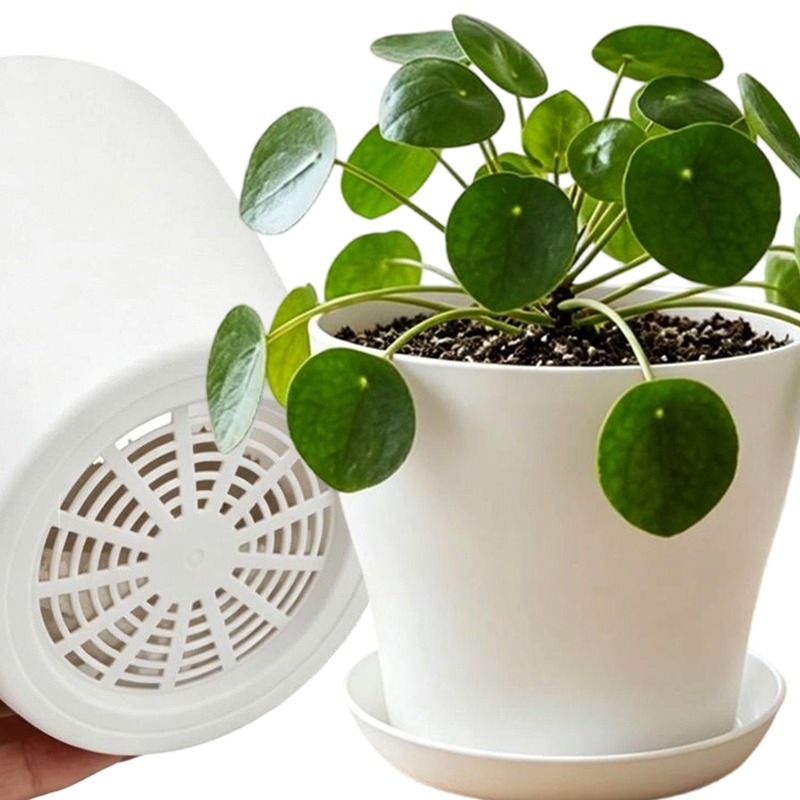 Set di Vasi per Piante con For - Aloe Vera Pot recensione e prezzo