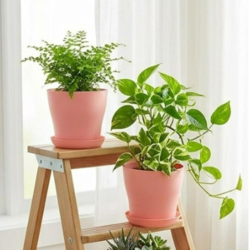 Set di Vasi per Piante con For - Aloe Vera Pot recensione e prezzo