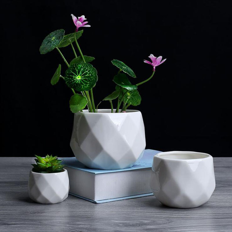 Vaso da fiori in poliedro di p - Aloe Vera Pot recensione e prezzo