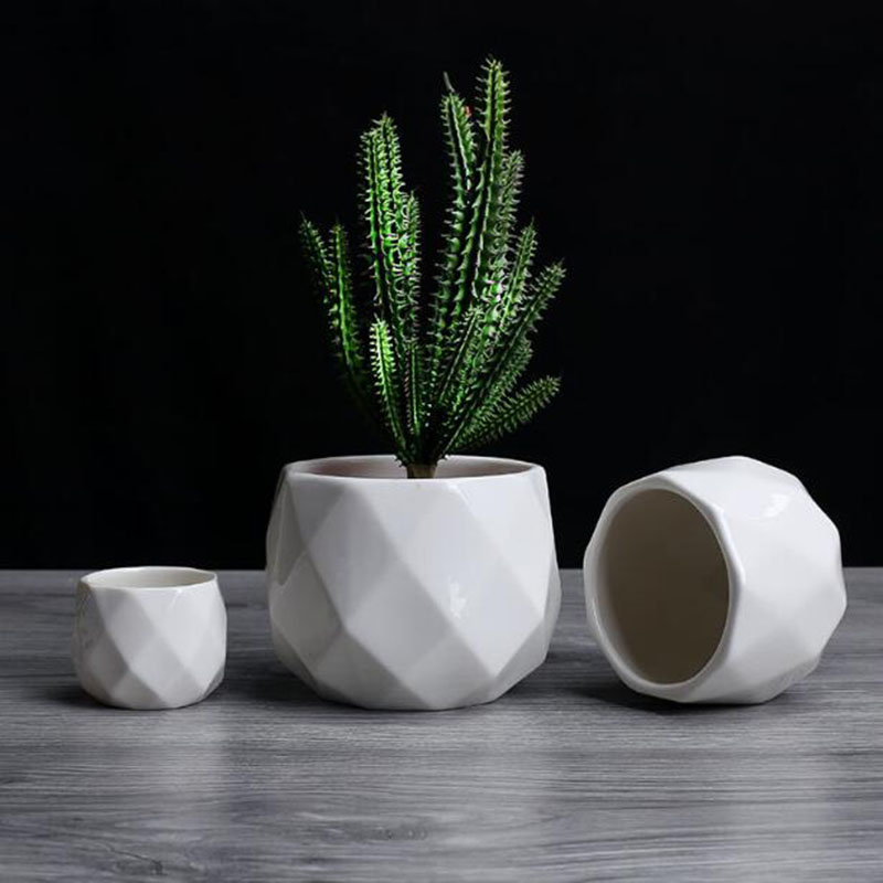Vaso da fiori in poliedro di p - Aloe Vera Pot recensione e prezzo