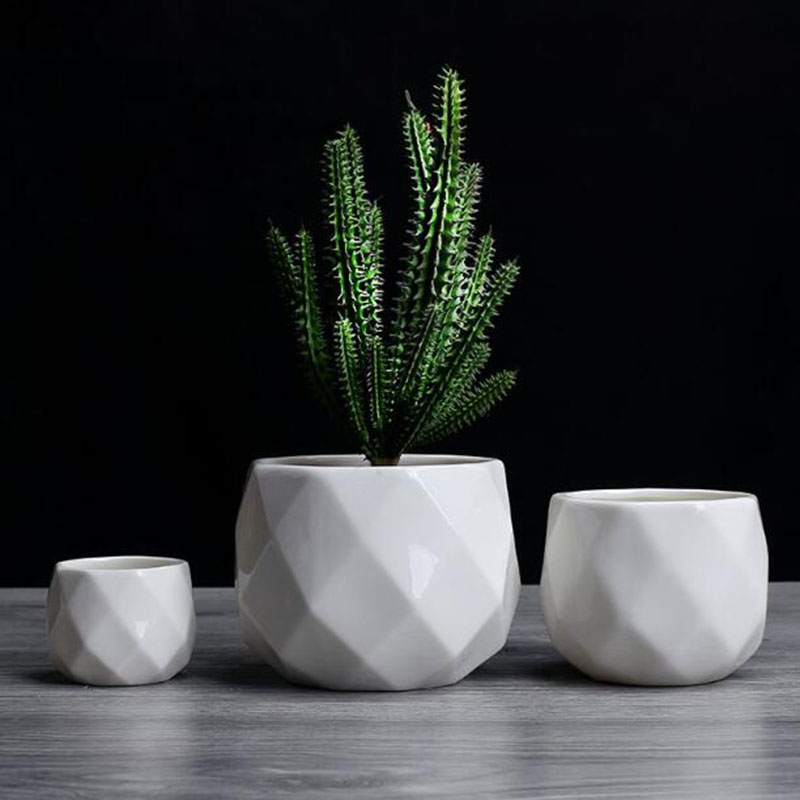 Vaso da fiori in poliedro di p - Aloe Vera Pot recensione e prezzo