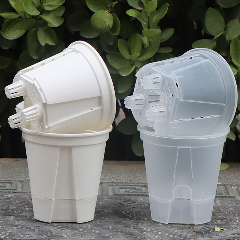 Vaso per orchidee trasparente  - Aloe Vera Pot recensione e prezzo